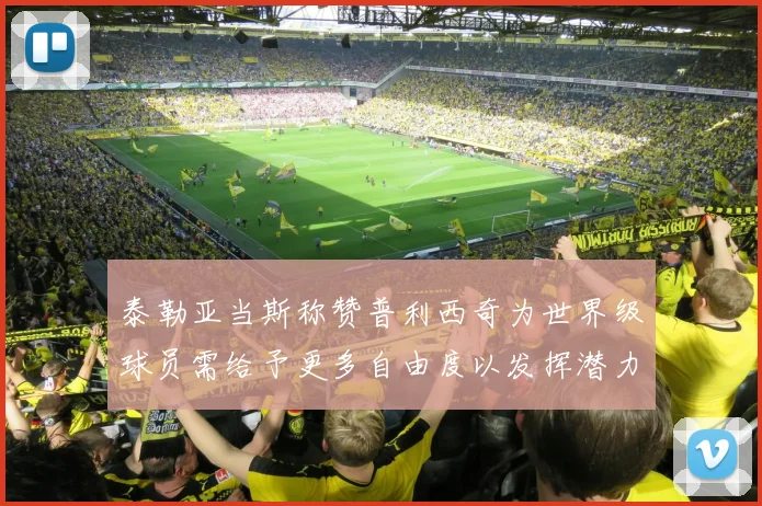 泰勒亚当斯称赞普利西奇为世界级球员需给予更多自由度以发挥潜力