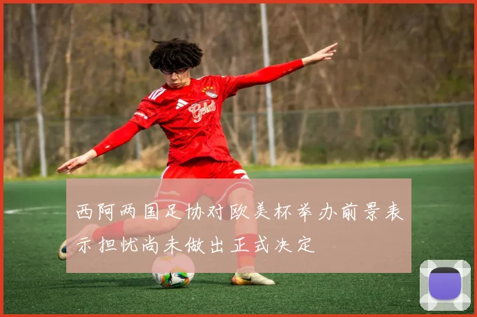 西阿两国足协对欧美杯举办前景表示担忧尚未做出正式决定